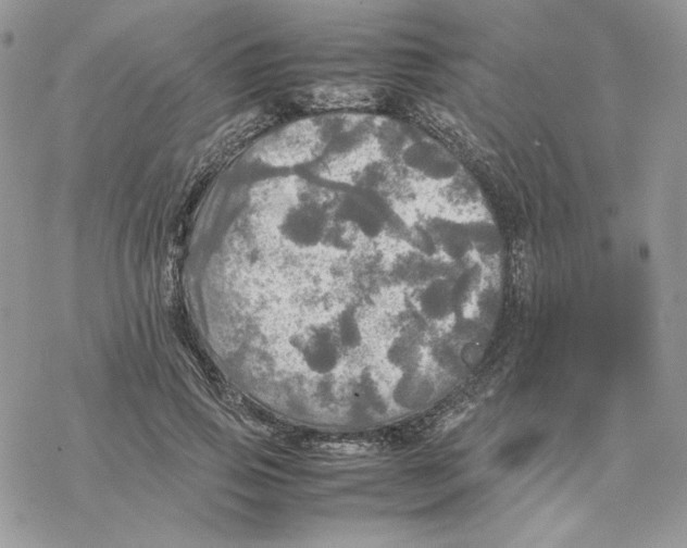 X0000077330741200611171807