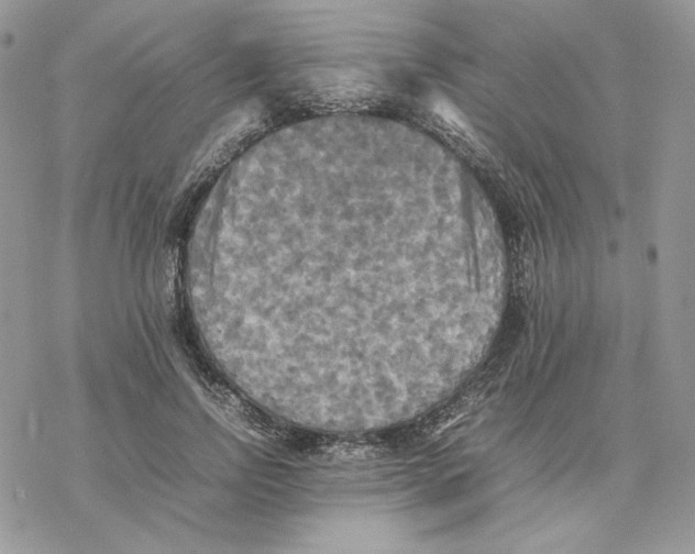 X0000077330742200611171807