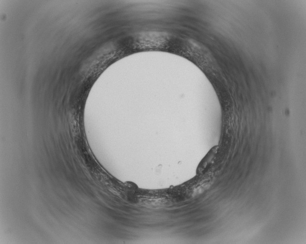 X0000077330743200611171807