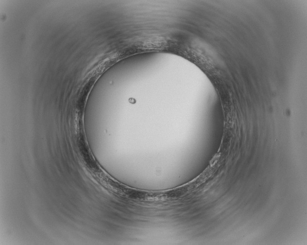 X0000077330744200611171807