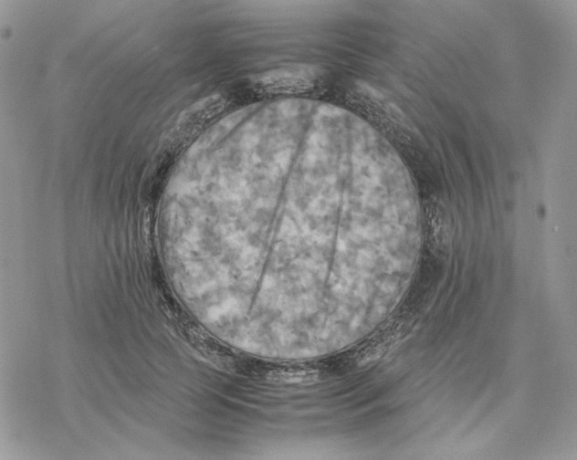 X0000077330745200611171807