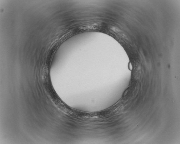 X0000077330747200611171807