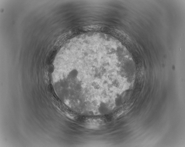 X0000077330749200611171807