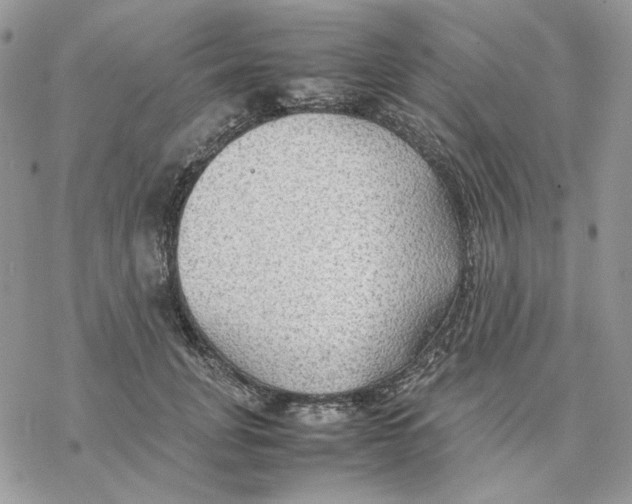 X0000077330751200611171807