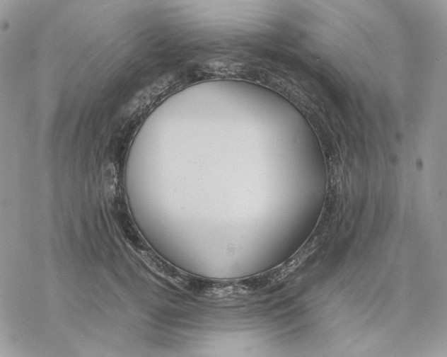 X0000077330752200611171807