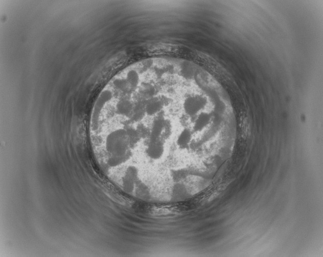 X0000077330753200611171807