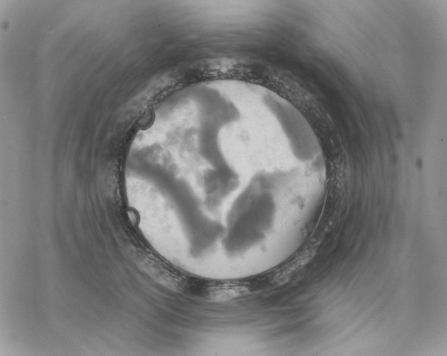 X0000077330754200611171807