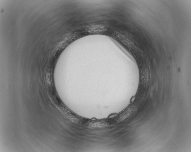 X0000077330755200611171807