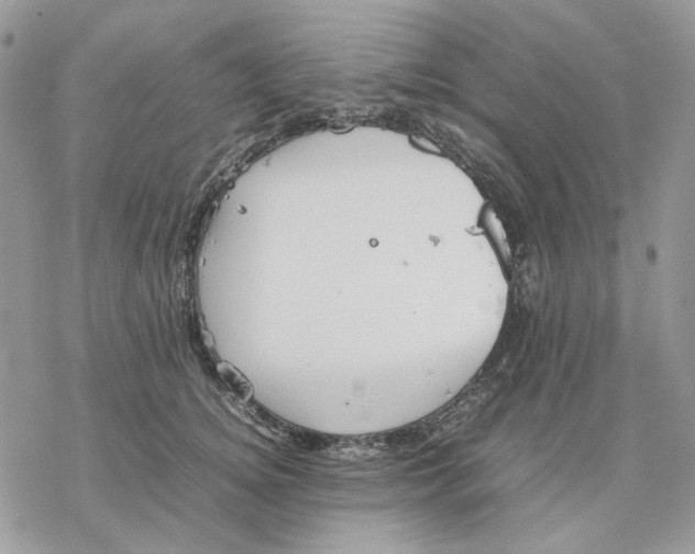 X0000077330756200611171807