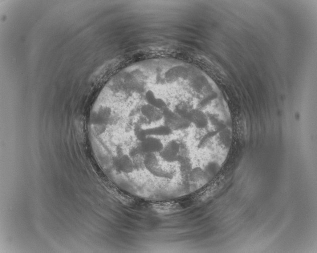 X0000077330757200611171807