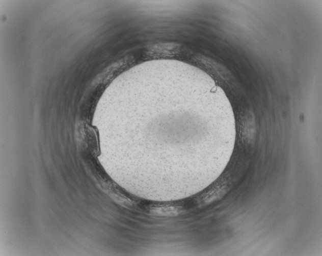 X0000077330759200611171807