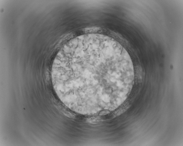 X0000077330761200611171807