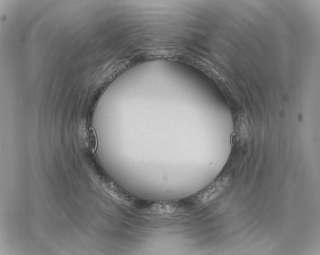 X0000077330764200611171807