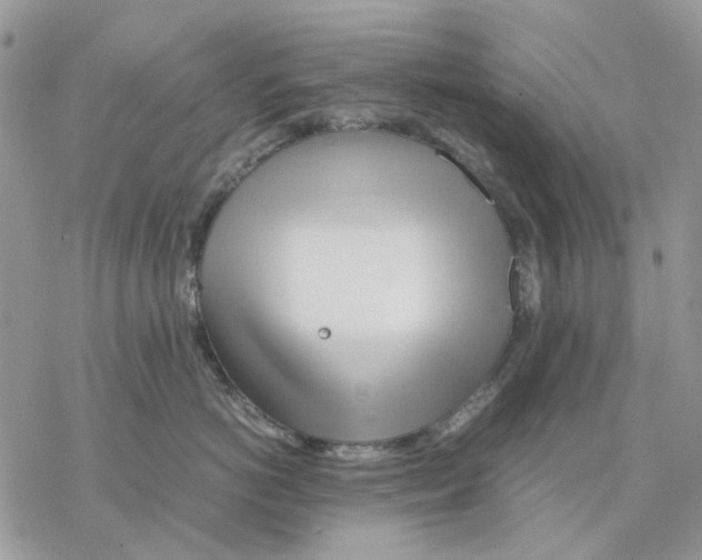 X0000077330766200611171807