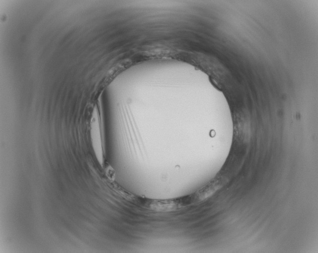 X0000077330767200611171807