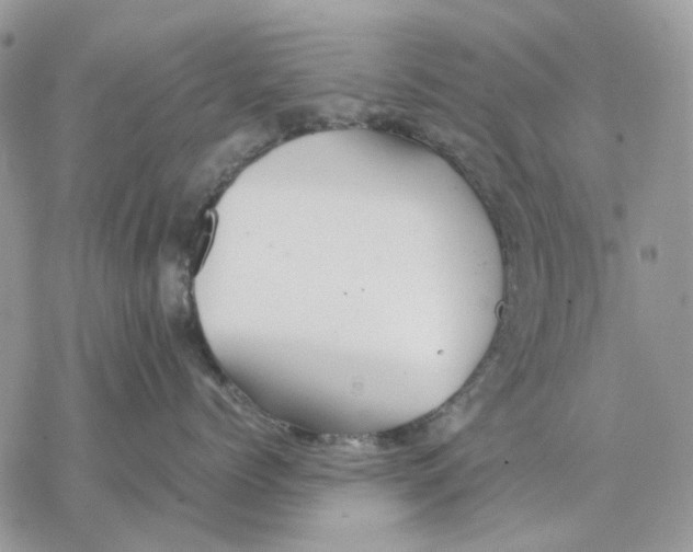 X0000077330768200611171807