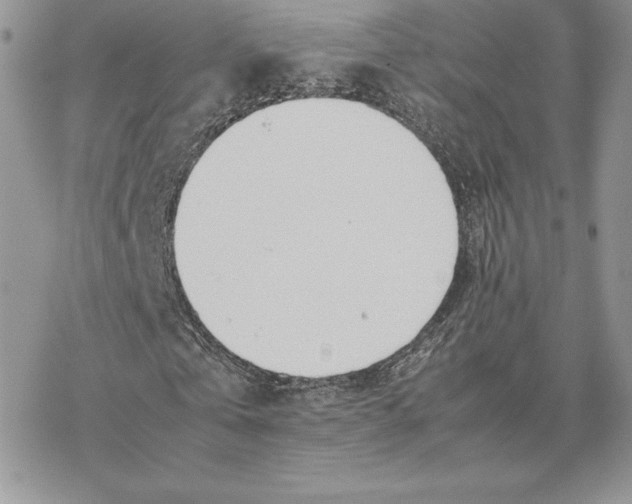 X0000077330769200611171806