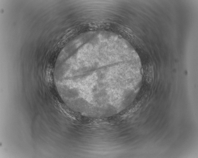 X0000077330770200611171806