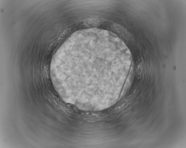 X0000077330772200611171806