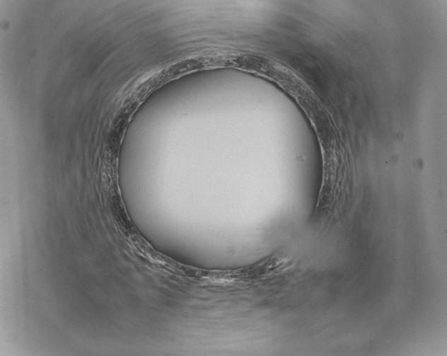 X0000077330773200611171806