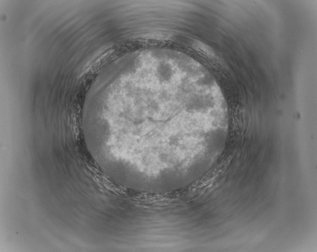 X0000077330774200611171806