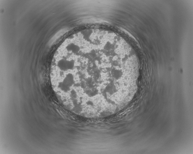 X0000077330775200611171806