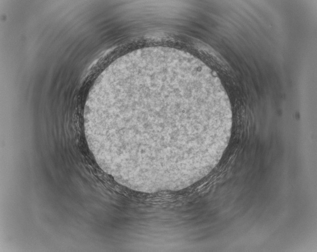 X0000077330776200611171806