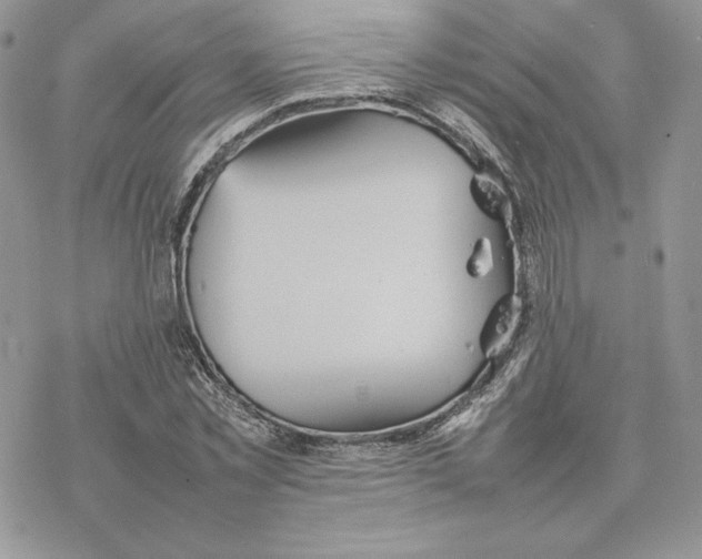 X0000077330781200611171806