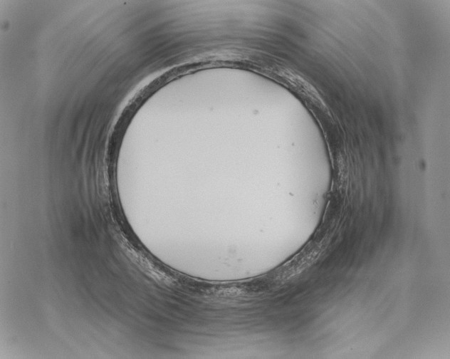 X0000077330784200611171806