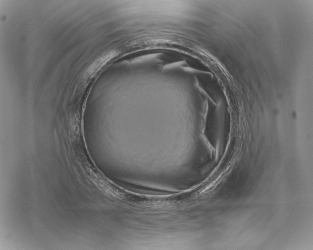 X0000077330785200611171806