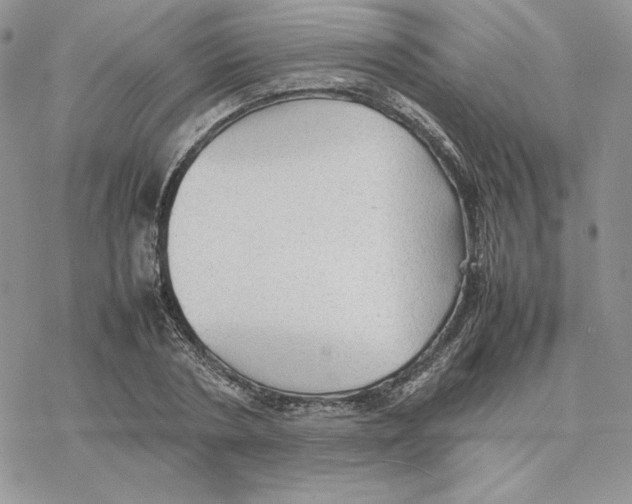 X0000077330786200611171806