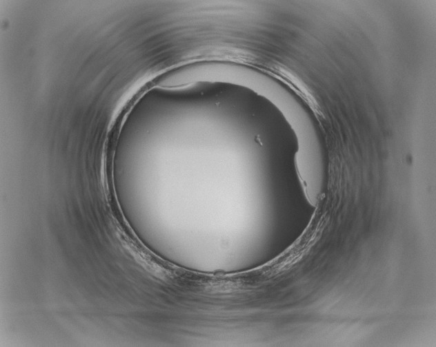 X0000077330788200611171806