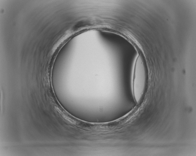 X0000077330789200611171806