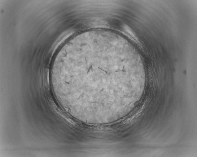 X0000077330790200611171806