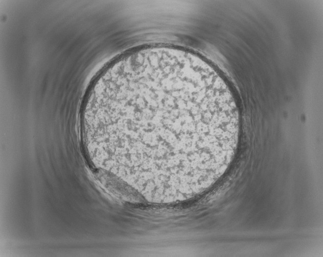 X0000077330791200611171806