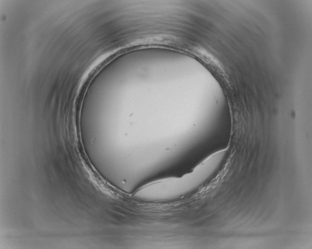 X0000077330792200611171806