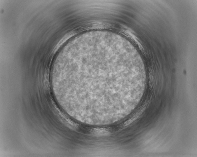 X0000077330794200611171806