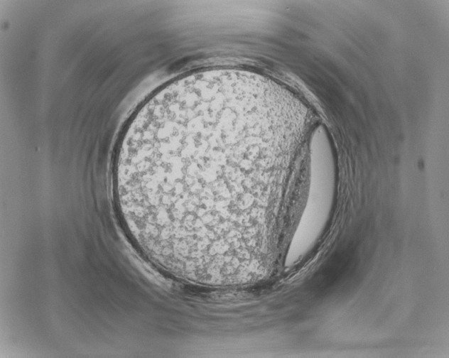 X0000077330795200611171806