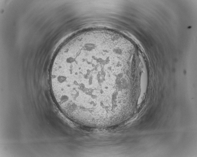 X0000077330799200611171806