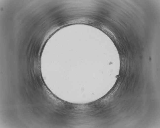 X0000077330800200611171806