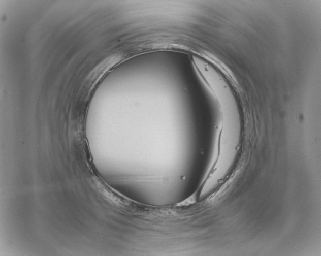 X0000077330801200611171806