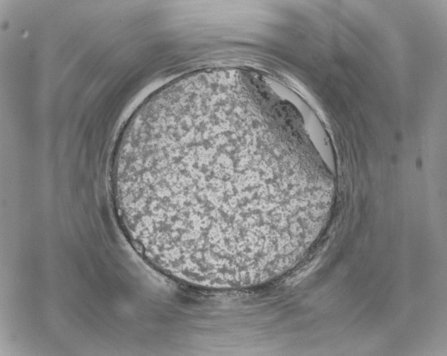 X0000077330803200611171806