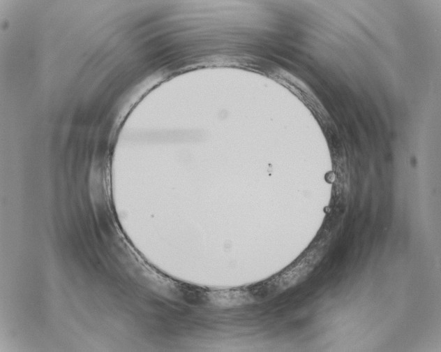 X0000077330804200611171806