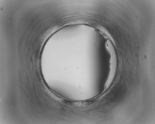 X0000077330805200611171806