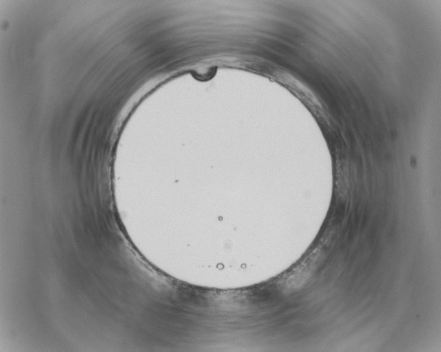 X0000077330808200611171806