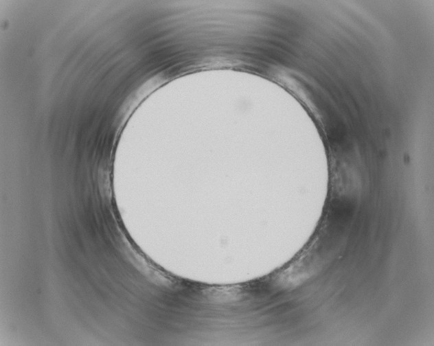 X0000077330810200611171806