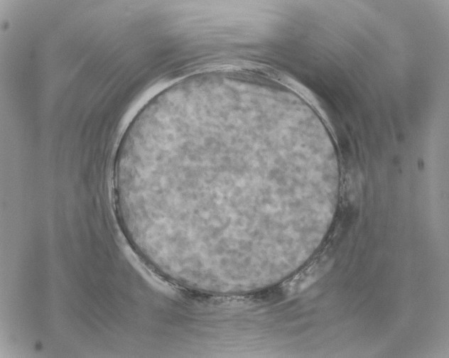 X0000077330811200611171806