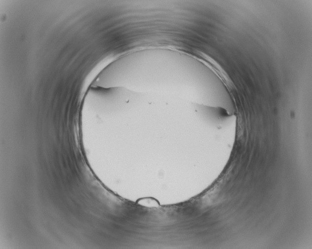 X0000077330812200611171806