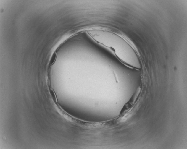 X0000077330813200611171806