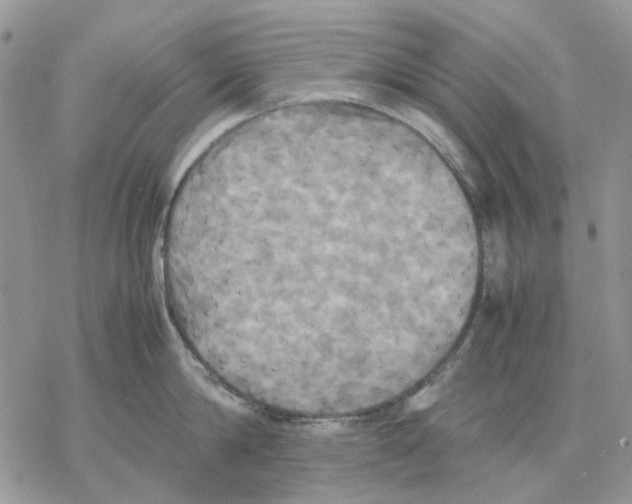 X0000077330814200611171806